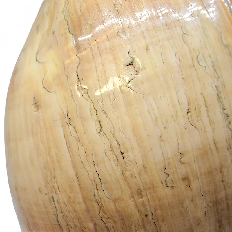 Океанічна мушля на підставці (KR-02) Індонезія